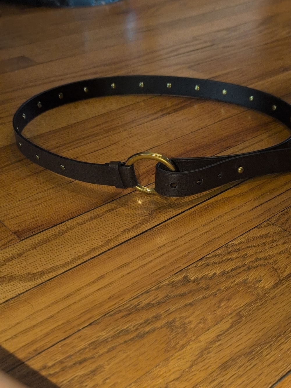 CAbi Dark Brown Leather Ring Belt with Gold Studs